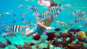 Snorkling gili Trawangan lombok